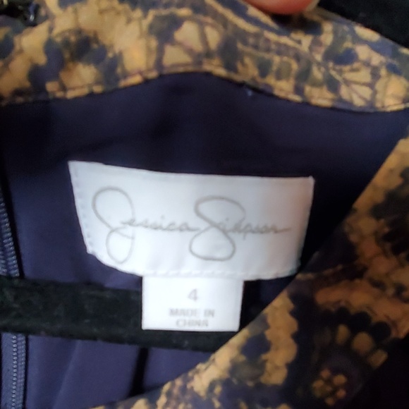 Beautiful Fall Jessica Simpson Dress - Picture 3 of 6